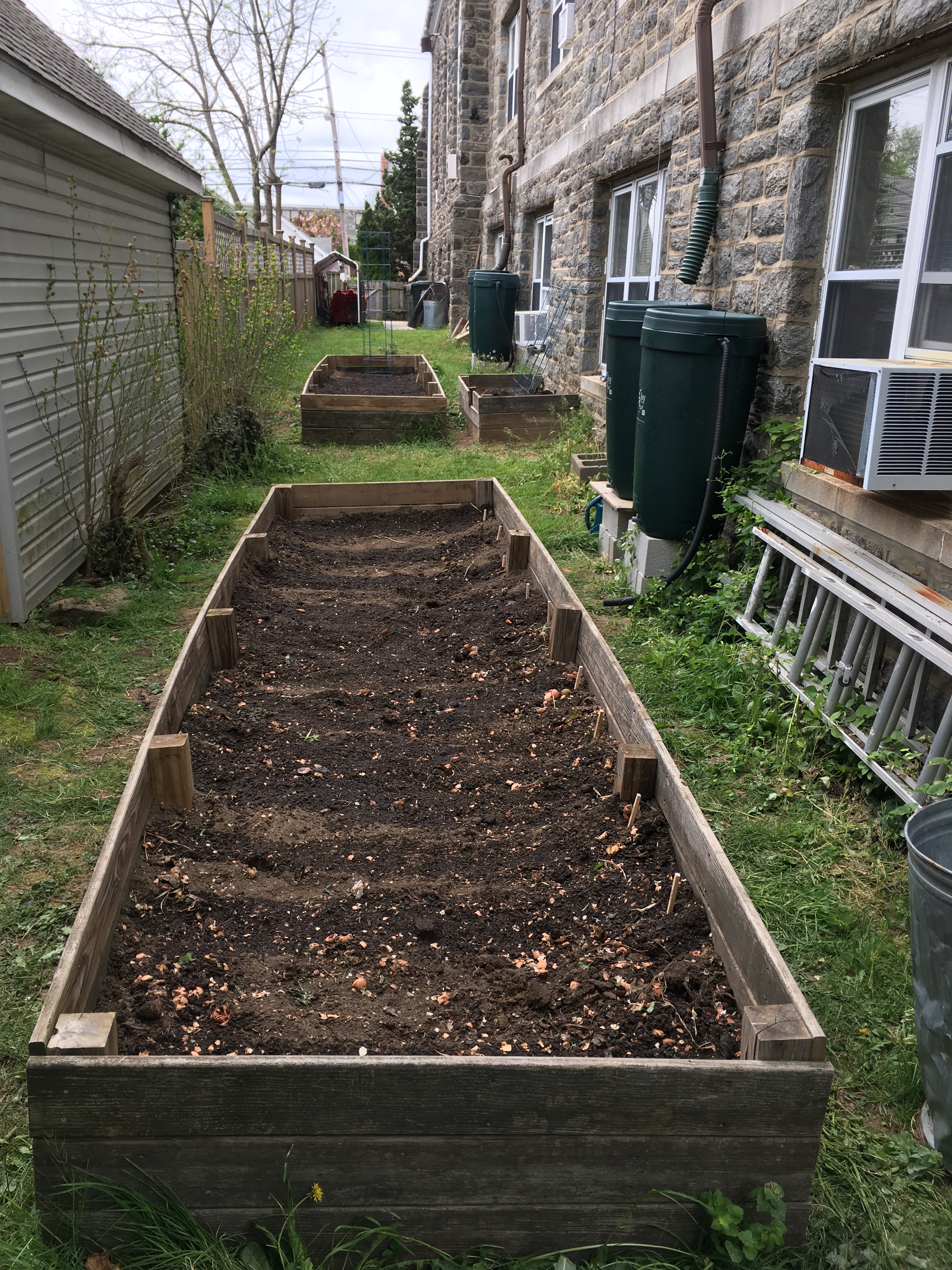 raised beds